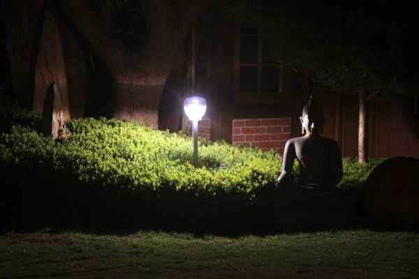 blauer Lichtschein im Garten Designbeleuchtung