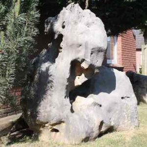 Felsen Japanischer Garten