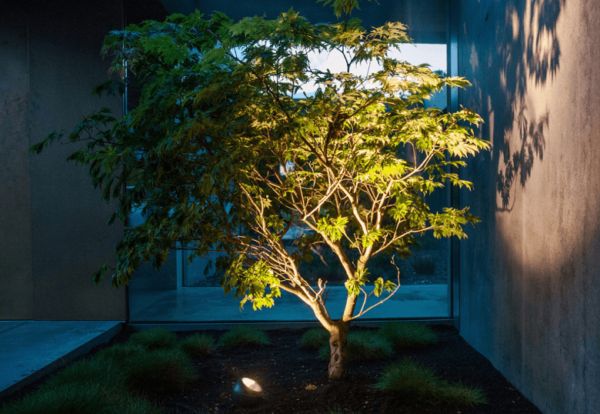 LED Baumbeleuchtung mit rundem Gartenspot