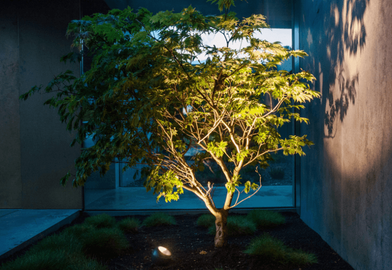Baumbeleuchtung Gartenspot mit moderner LED Technik
