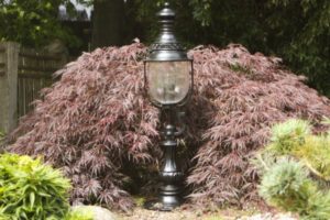 Hamburger Lampentyp für Außen Gartenlaterne Sockel und Wegle