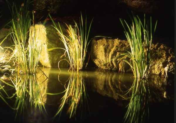 Teich nachts beleuchtet