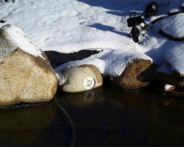 Teichbeleuchtung Fischteich