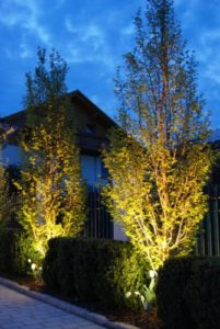 Maxi Spotscheinwerfer bis 35 Watt Gärten Büsche Mauern 12 V