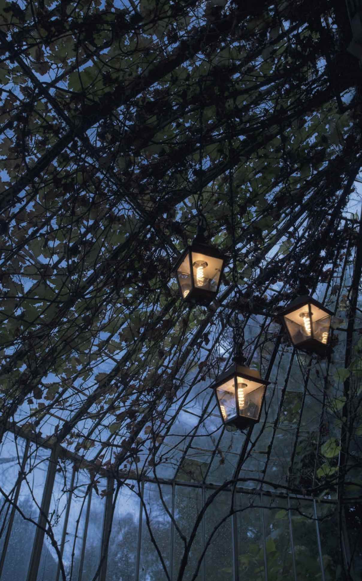 Hängende Gartenlaternen im Baum für nostalgische Akzente