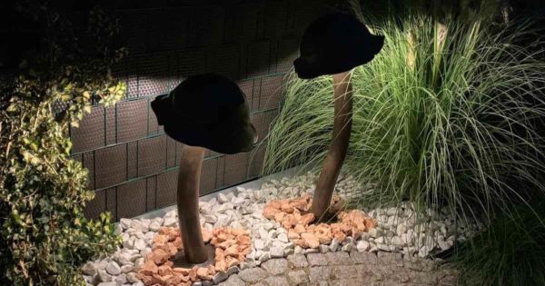 Gartenlampen wie Pilze