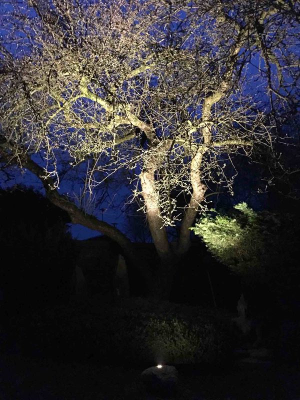 Apfelbaum beleuchtet mit Baumstrahler Natursteinleuchte