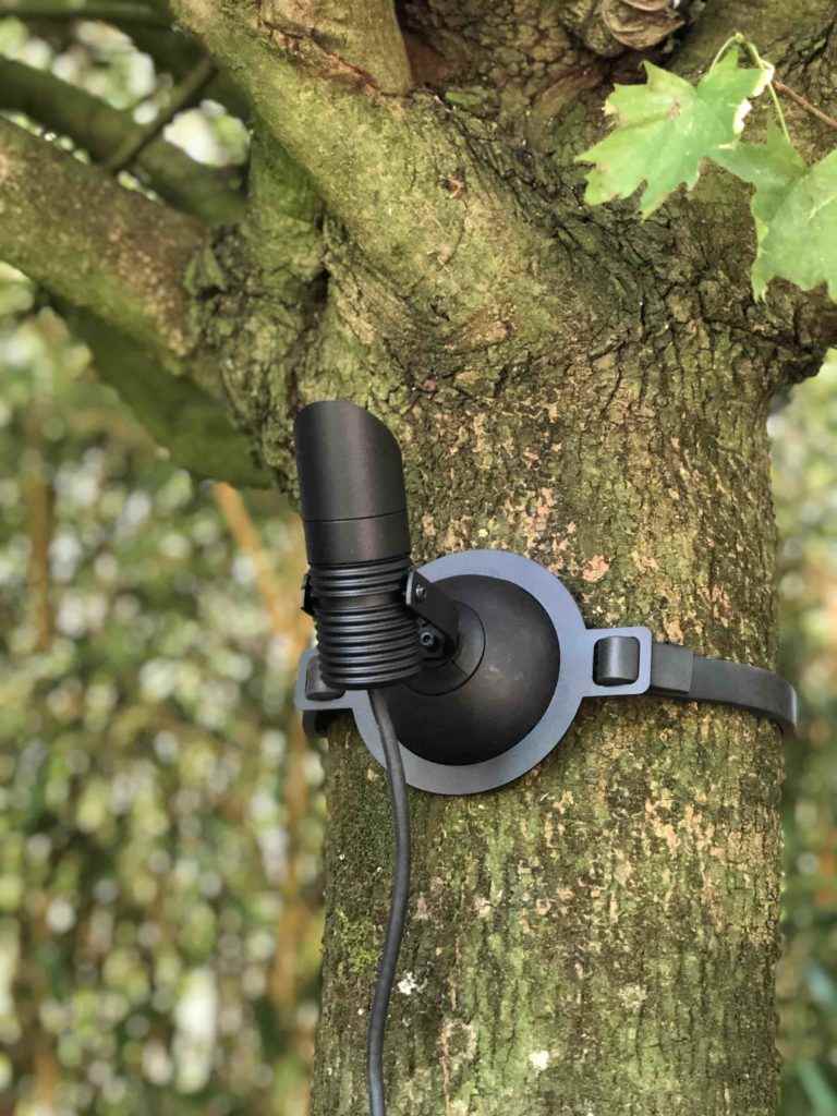 Gartenstrahler am Baum schonend befestigt für spannende Akzente