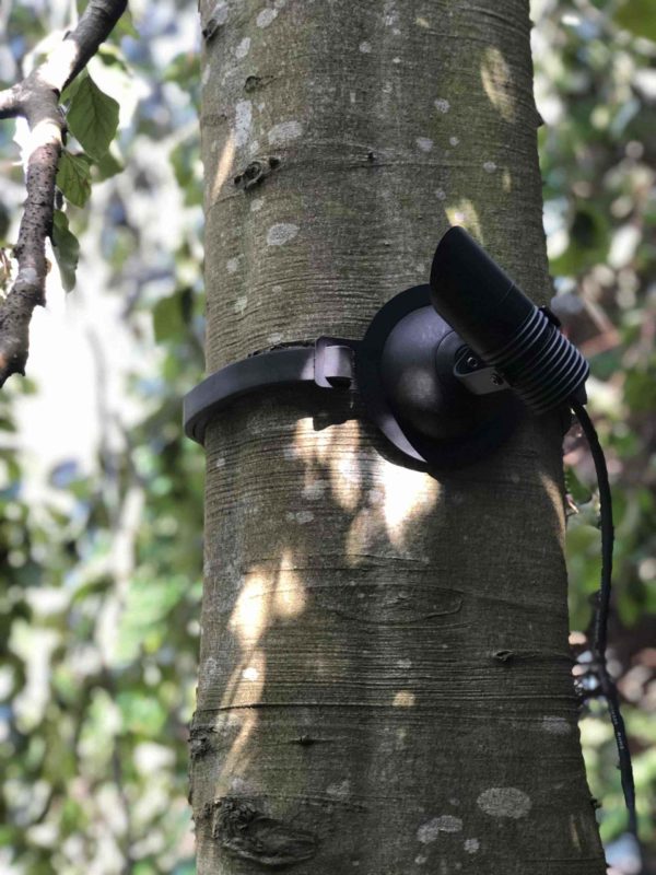 Schwenkbarer Baumstrahler am Stamm befestigt