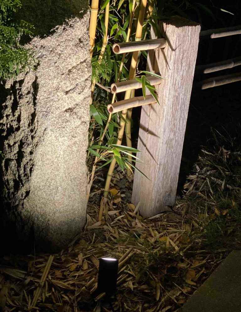 Bambus im Garten beleuchtet für spannende Akzente