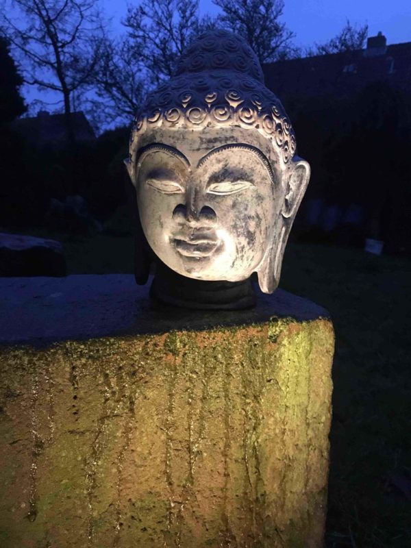 Buddhakopf nachts beleuchtet,Buddhakopf abends schön angestrahlt