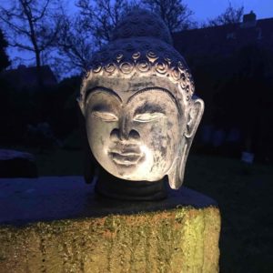 Buddhakopf nachts beleuchtet