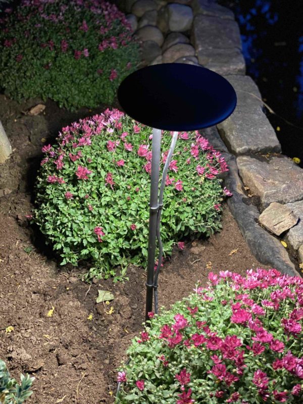 Filigrane Gartenleuchten für schöne Lichtstimmungenim Dunkeln