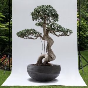 Exklusive Bonsai outdoor schale