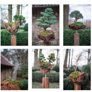 Gartenbonsai auf Stein mit Stele