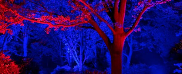 Lichtinstallation im Park bei LightUp Veranstaltung in Bremen