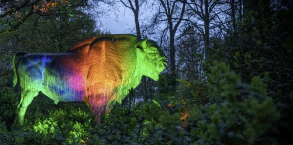 Light up Licht Installation im Rhododendron Park Bremen