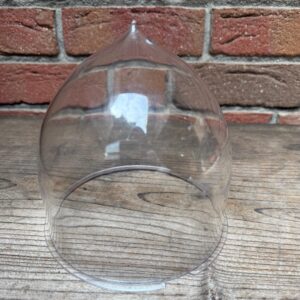 Trumpet Ersatzglas klar