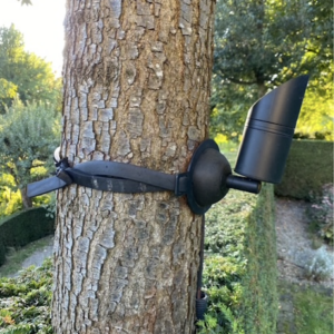Blendfreier LED Baumstrahler für schonende Baumbefestigung
