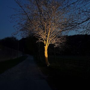 Exklusive wetterfeste Baumbeleuchtung