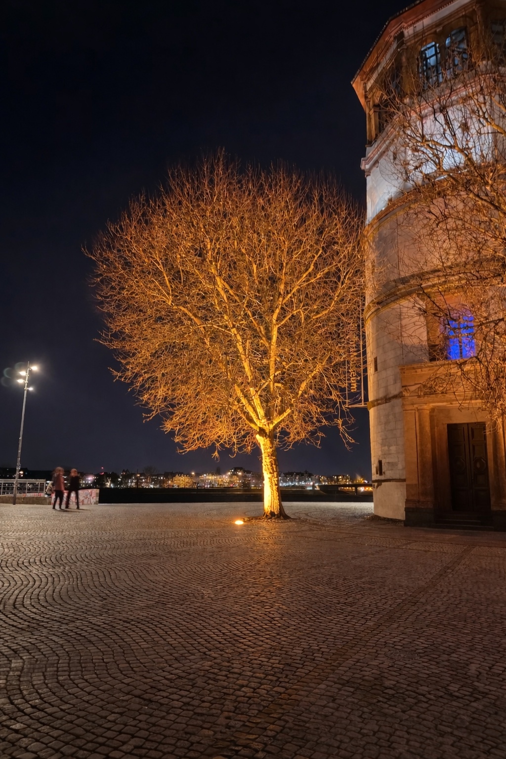 Beleuchtung großer Bäume im öffentlichen Bereich mit einem Bodeneinbauscheinwerfer