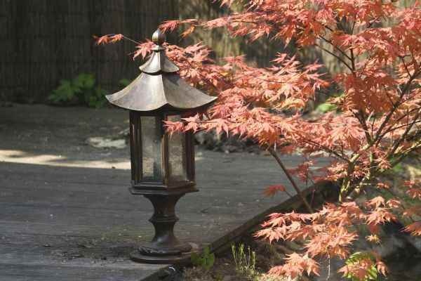 Beratung fuer eine schoene Gartenbeleuchtung